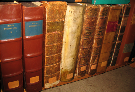 files/images/institut/bibles.png